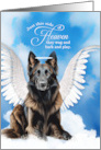 Pet Sympathy Loss of a Dog Belgian Tervuren Shepherd Angel card