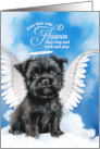Pet Sympathy Loss of a Dog Affenpinscher Angel card