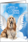 Pet Sympathy Loss of a Dog Afghan Hound Angel card