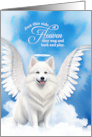 Pet Sympathy Loss of a Dog American Eskimo Angel card