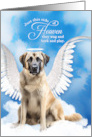 Pet Sympathy Loss of a Dog Anatolian Shepherd Angel card