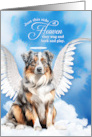 Pet Sympathy Loss of a Dog Australian Shepherd Angel card