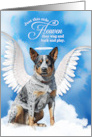 Pet Sympathy Loss of a Dog Australian Cattle Dog Angel card
