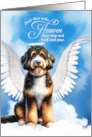 Pet Sympathy Loss of a Dog Bernedoodle Angel card