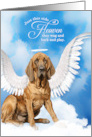 Pet Sympathy Loss of a Dog Bloodhound Angel card