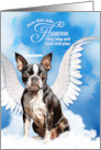 Pet Sympathy Loss of a Dog Boston Terrier Angel card