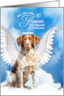 Pet Sympathy Loss of a Dog Brittany Spaniel Angel card
