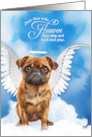 Pet Sympathy Loss of a Dog Brussels Griffon Angel card