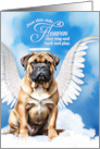 Pet Sympathy Loss of a Dog Bullmastiff Angel card