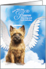Pet Sympathy Loss of a Dog Cairn Terrier Angel card