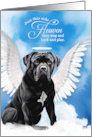 Pet Sympathy Loss of a Dog Cane Corso Angel card