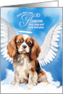 Pet Sympathy Loss of a Dog Cavalier King Charles Spaniel Angel card