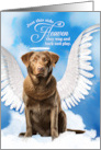 Pet Sympathy Loss of a Dog Chesapeake Bay Retriever Angel card
