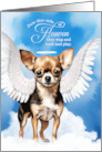 Pet Sympathy Loss of a Dog Black Tan Smooth Coat Chihuahua Angel card