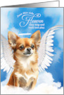 Pet Sympathy Loss of a Dog Tan Long Coat Chihuahua Angel card