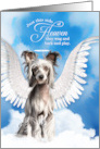 Pet Sympathy Loss of a Dog Chinese Crested Angel card
