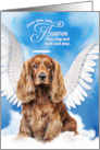 Pet Sympathy Loss of a Dog Cocker Spaniel Angel card