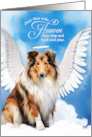 Pet Sympathy Loss of a Dog Rough Collie Angel card