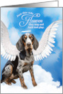 Pet Sympathy Loss of a Dog Bluetick Coonhound Angel card