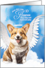 Pet Sympathy Loss of a Dog Pembroke Welsh Corgi Angel card
