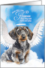 Pet Sympathy Loss of a Dog Wirehaired Dachshund Angel card