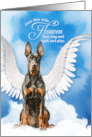 Pet Sympathy Loss of a Dog Doberman Pinscher Angel card