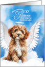 Pet Sympathy Loss of a Dog Cavapoo or Cavoodle Angel card