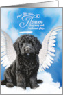 Pet Sympathy Loss of a Dog Black Labradoodle Angel card