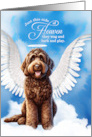 Pet Sympathy Loss of a Dog Chocolate Labradoodle Angel card