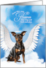 Pet Sympathy Loss of a Dog Miniature Pinscher Angel card