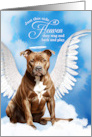 Pet Sympathy Loss of a Dog Tan Brown Pit Bull Angel card