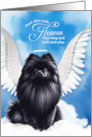 Pet Sympathy Loss of a Dog Black Pomeranian Angel card
