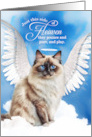 Pet Sympathy Loss of a Cat Birman Angel card