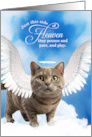 Pet Sympathy Loss of a Cat Munchkin Tabby Angel card