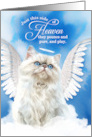 Pet Sympathy Loss of a Cat White Persian Angel card