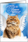 Pet Sympathy Loss of a Cat Orange Ginger Persian Angel card