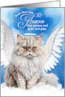 Pet Sympathy Loss of a Cat Cream Persian Angel card