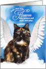 Pet Sympathy Loss of a Cat Tortoiseshell Persian Angel card
