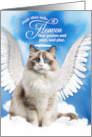Pet Sympathy Loss of a Cat Ragdoll Angel card