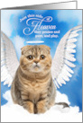 Pet Sympathy Loss of a Cat Scottish Fold Angel card