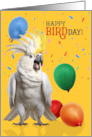 Funny Cockatoo Parrot Birthday Humor with Balloons card