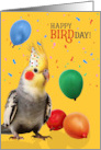 Funny Cockatiel Parrot Birthday Humor with Balloons card