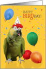 Funny Red Headed Amazon Parrot Birthday Humor with Balloons card