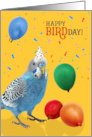 Cute Blue and White Budgie Parakeet Birthday Humor with Balloons card
