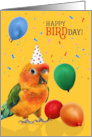 Cute Sun Conure Parrot Birthday Humor with Balloons card