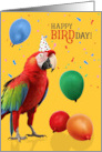 Green Winged Macaw Parrot Birthday Humor with Balloons card