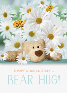for Kids Sympathy Teddy Bear Hug and White Daisies