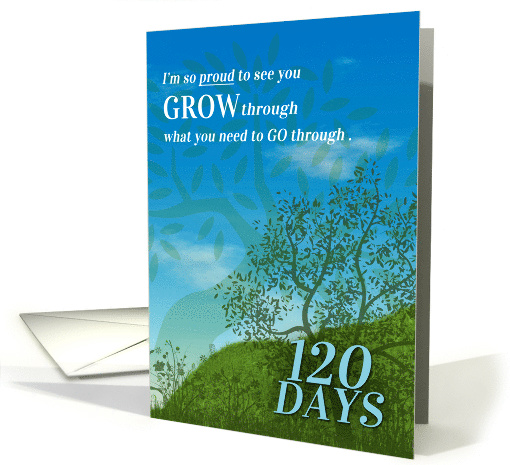 120 Days of Sobriety Congratulations Summer Meadow card (1746182)