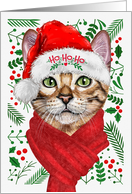 Abyssinian Cat Ho Ho Ho Santa Hat Meowy Christmas Kitty card