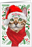 Abyssinian Cat Ho Ho...